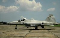 Pesawat F5E Tiger II membawa TUDM ke zaman penerbangan Supersonik